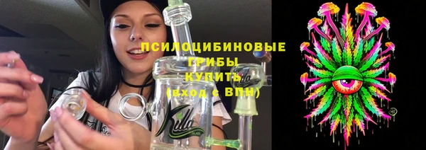 бошки Богородицк