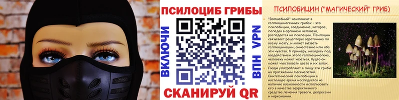закладка  Высоковск  Галлюциногенные грибы Magic Shrooms 